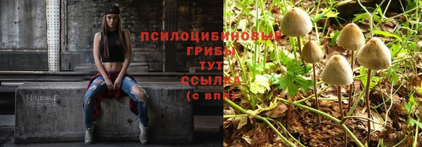 a pvp Медногорск