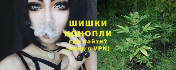 трава Магас
