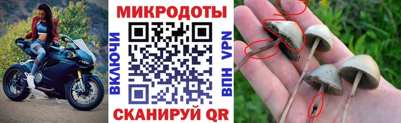 Галлюциногенные грибы ЛСД наркота Нюрба